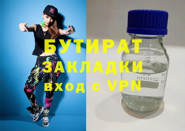 шишки Новодвинск