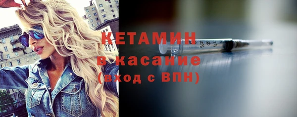 шишки Новодвинск