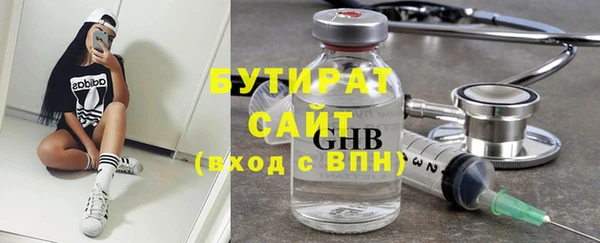 шишки Новодвинск