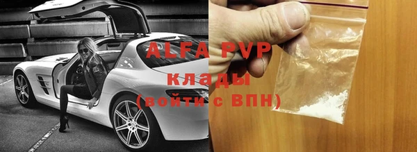 шишки Новодвинск