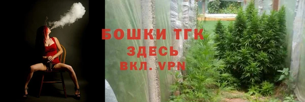 трава Новозыбков