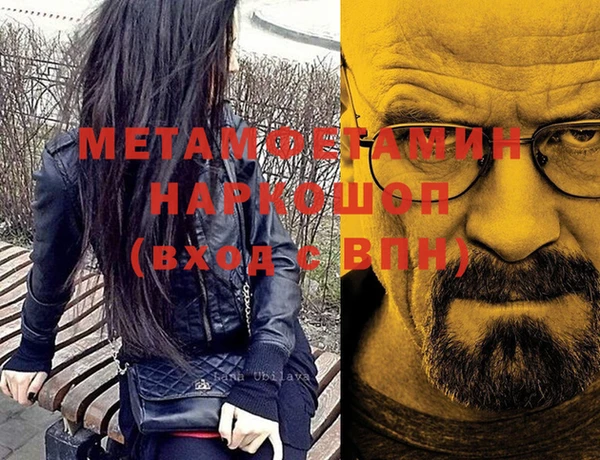 трава Новозыбков