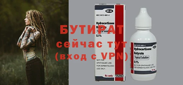 шишки Новодвинск