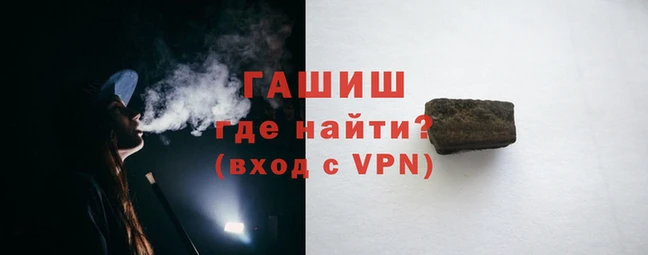 шишки Новодвинск