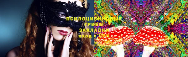 трава Новозыбков