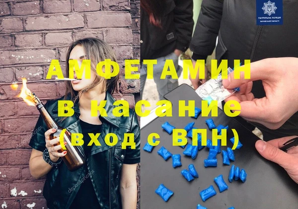 шишки Новодвинск