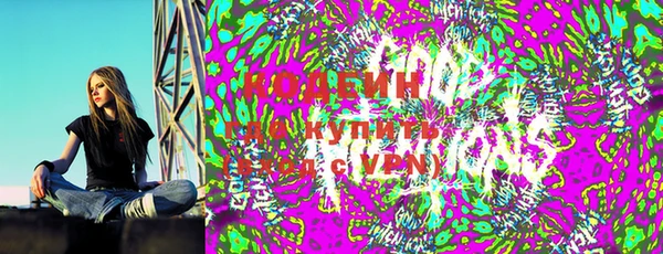 трава Новозыбков