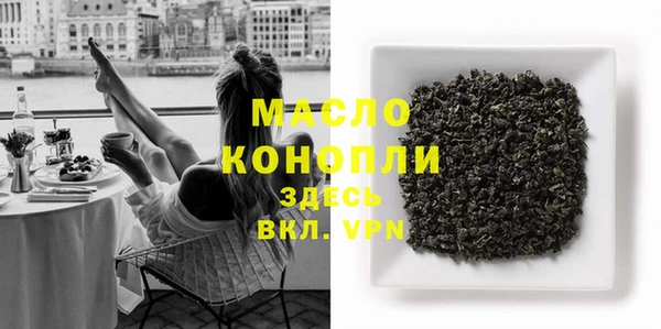 шишки Новодвинск