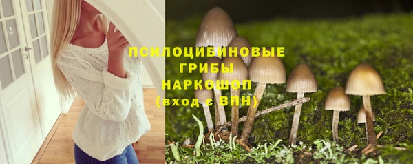 трава Новозыбков