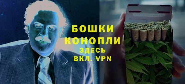 шишки Новодвинск