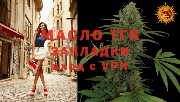 шишки Новодвинск