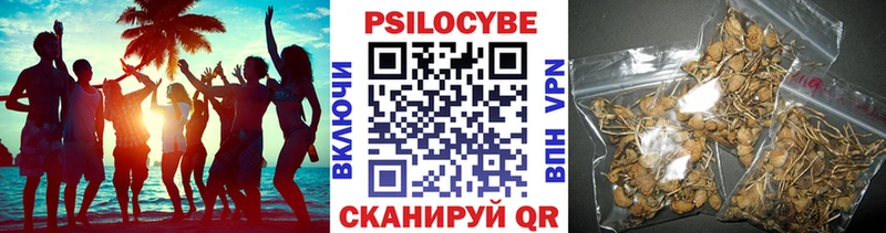 это какой сайт  где продают наркотики  Чишмы  Галлюциногенные грибы мухоморы 
